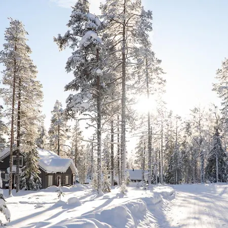 Revontuuli By In Lapland *